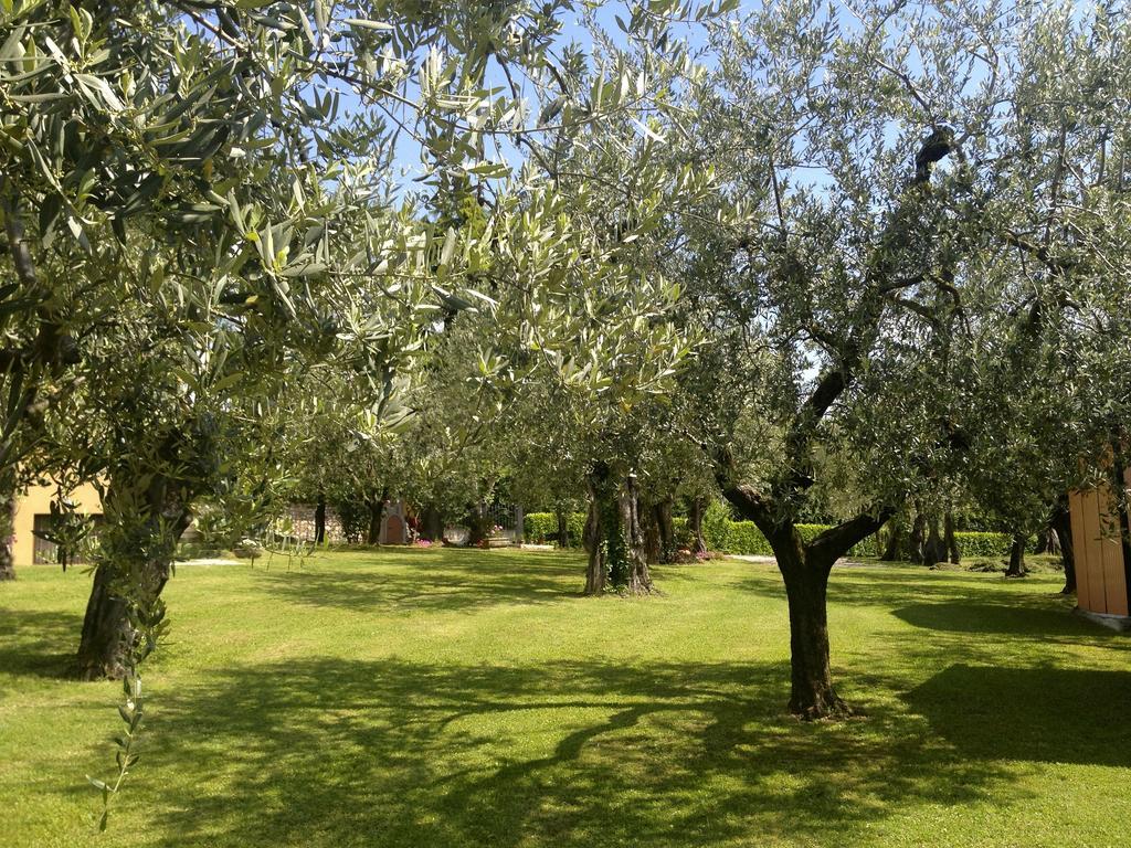 Villa Molino Moniga del Garda Dış mekan fotoğraf